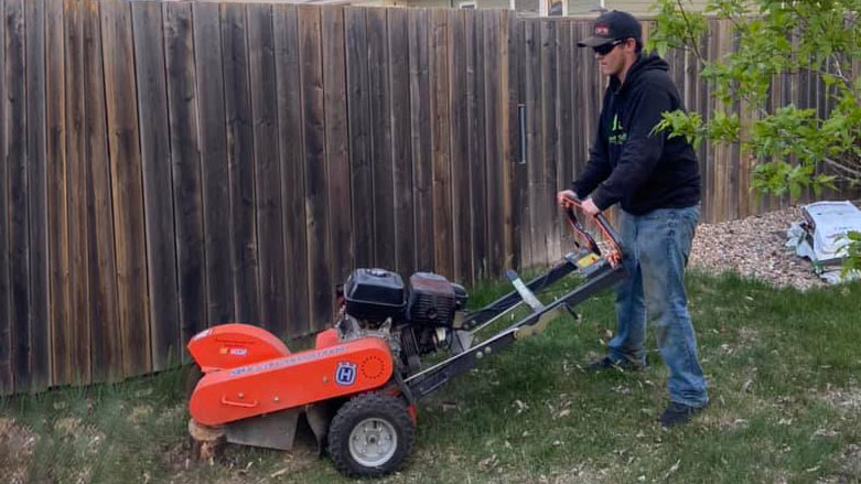 Element Yard Care stump grinding lawn care service